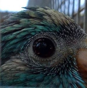 Meet your Posher, Jayne